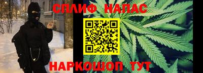 молекула духа Сланцы